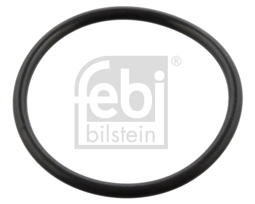 Seal Ring